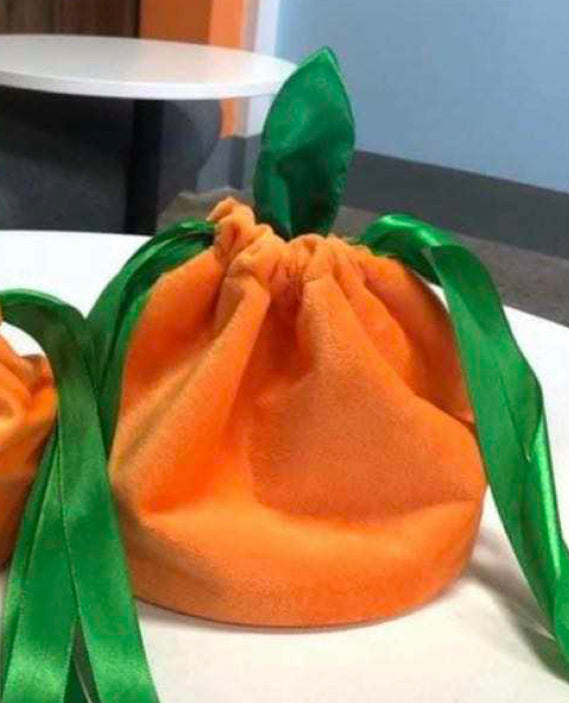 Pumpkin Velvet Bag