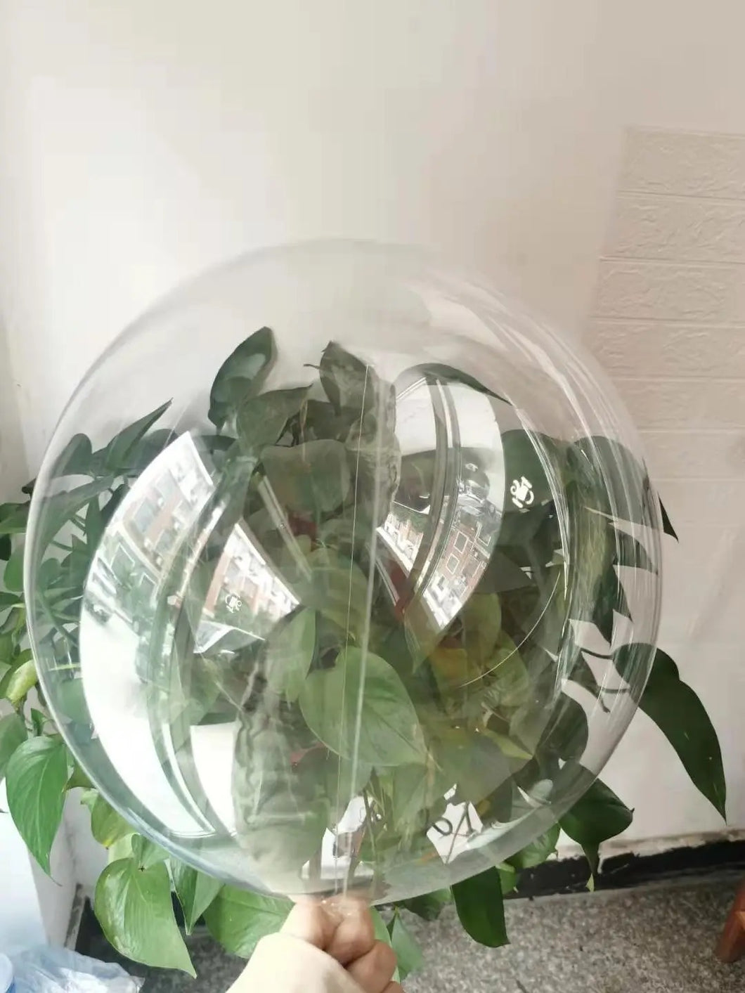 Bobo Balloons Different sizes